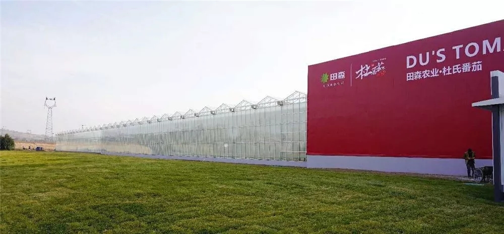 640.webp (1).jpg 640.webp (1).jpg