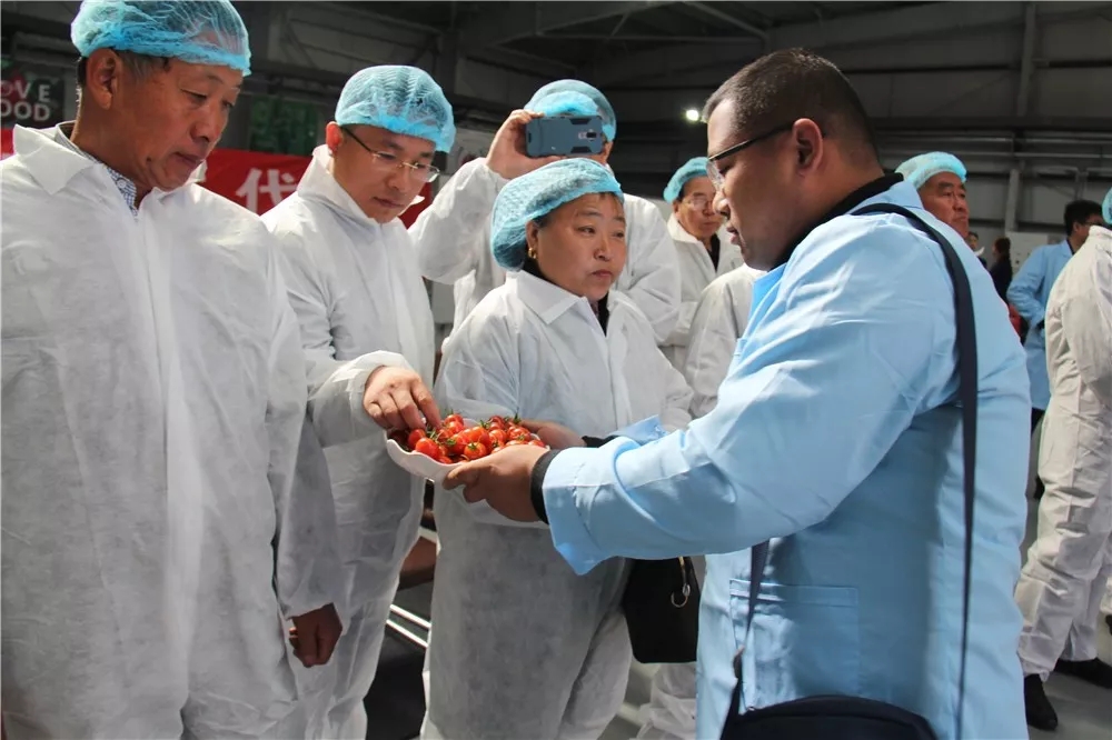 640.webp (8).jpg 640.webp (8).jpg