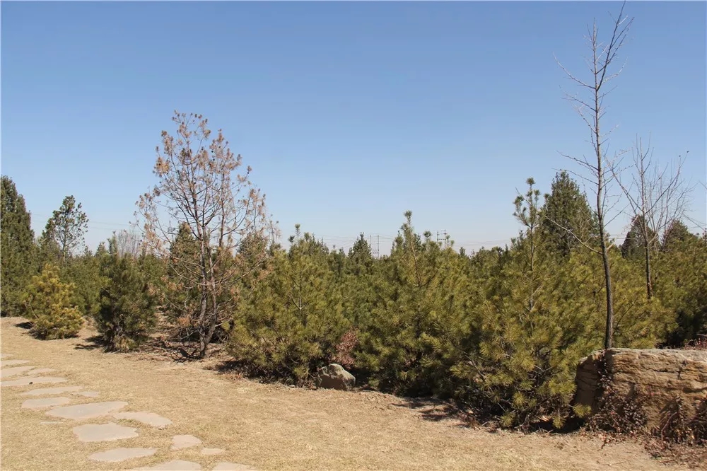 640.webp (2).jpg 640.webp (2).jpg