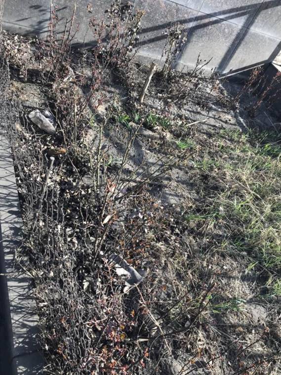 image004.jpg image004.jpg